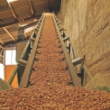 Z kotlíkové dotace je možné uhradit až 85 % ceny nového automatického kotle na dřevní pelety